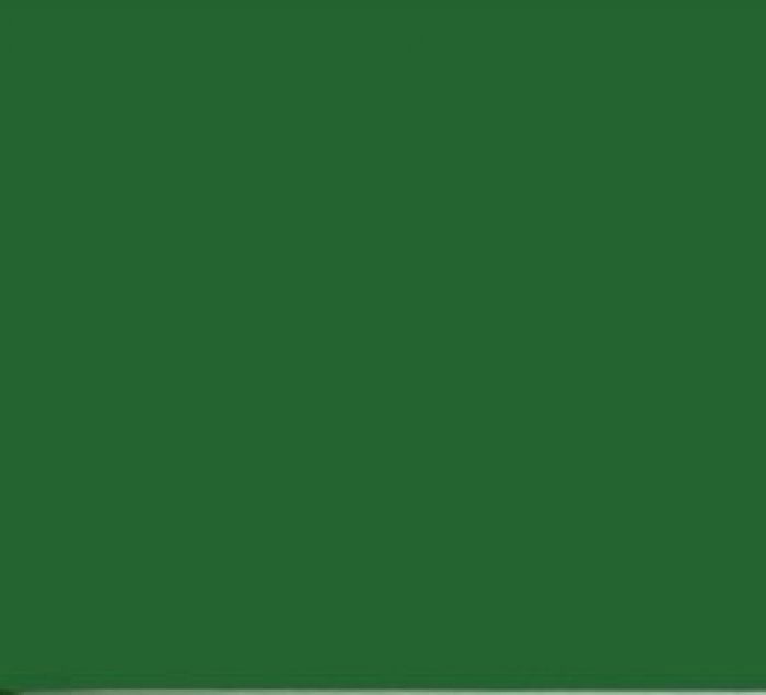 Allgaier groen. 1 Ltr