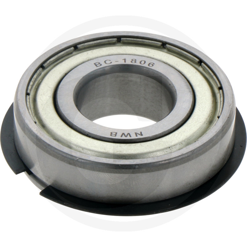 Pilot bearing, International