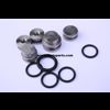 Plug en o-ring set. external service, Fordson major en Dexta