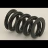 Radius rod spring set T-Ford