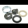 Voorwiel lager set International (1094017R92)