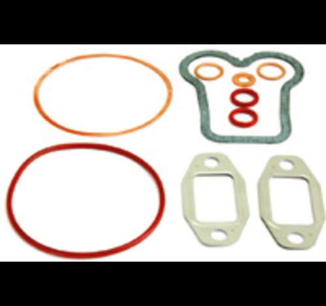 Head gasket set Fendt