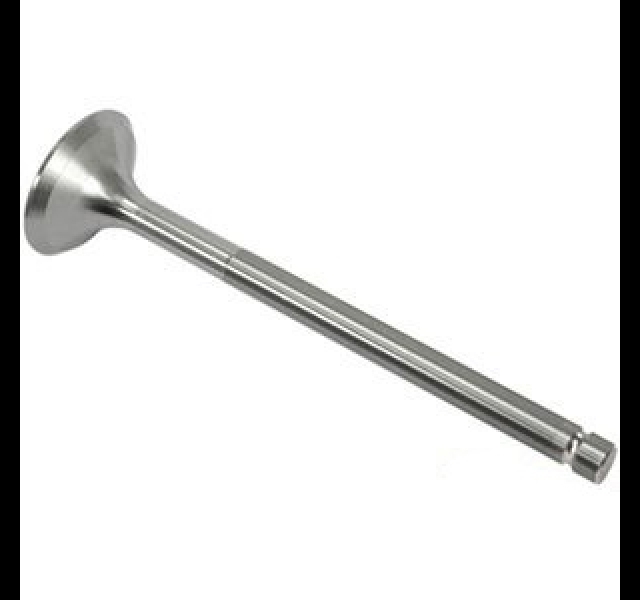 David Brown Case Intake or Exhaust valve