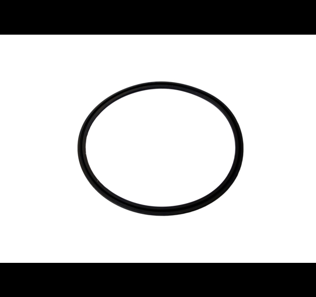IPTO Sealing Ring