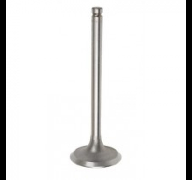 Inlet Valve