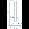 Inlet Valve Histoparts