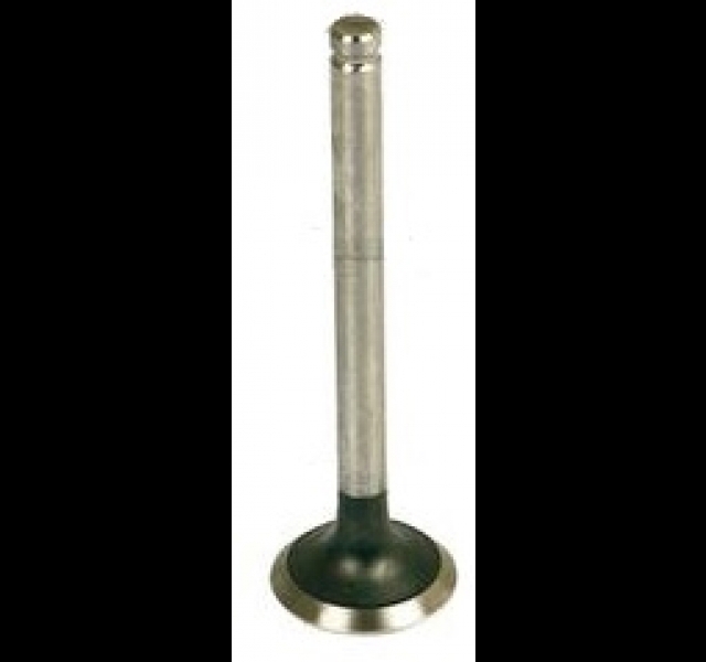 Exhaust Valve