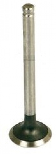 Exhaust Valve