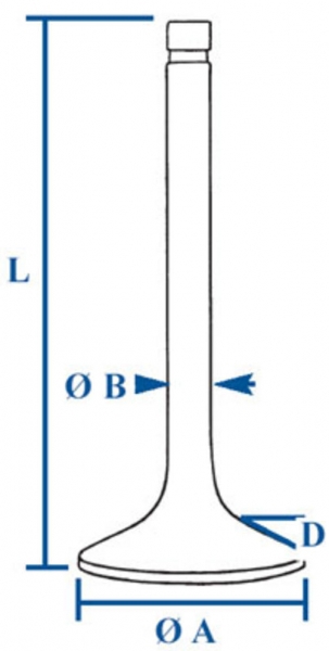 Exhaust Valve Histoparts