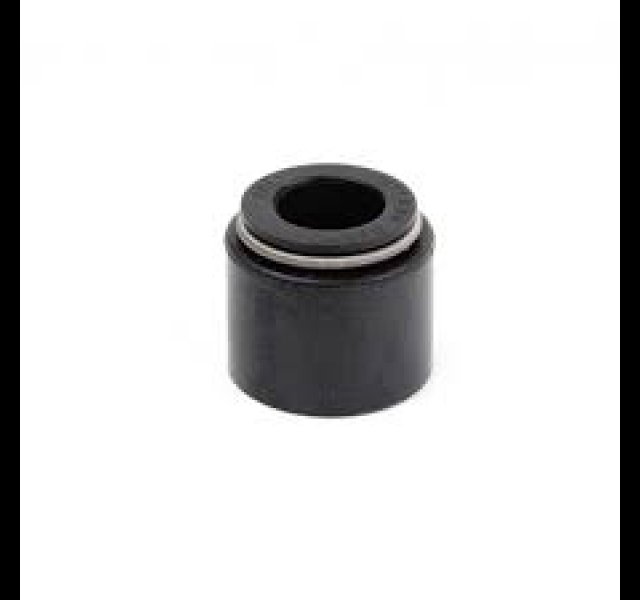 Valve Seal