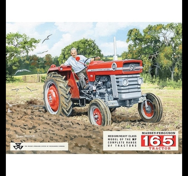 Groot Metalen Werkplaatsbord - Massey Ferguson 165 (50 x 70 cm)