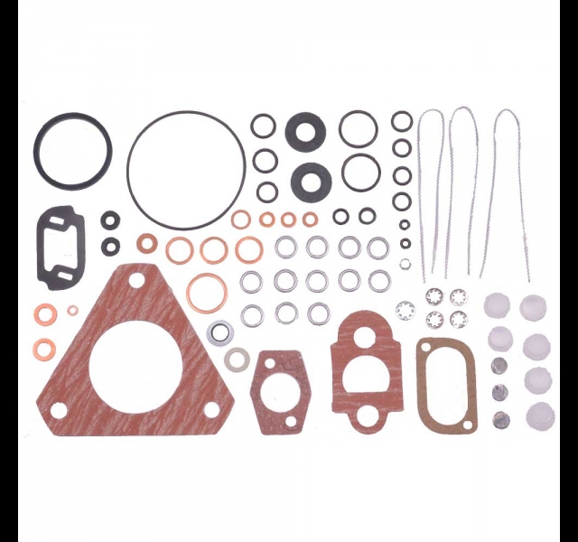Seal Kit CAV DPA Delphi 7135-57B Injection pump