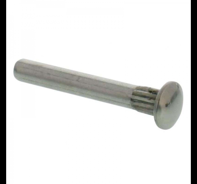 Deur Scharnier pen. A-Ford