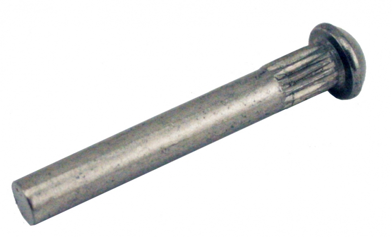 Deur Scharnier pen (1)