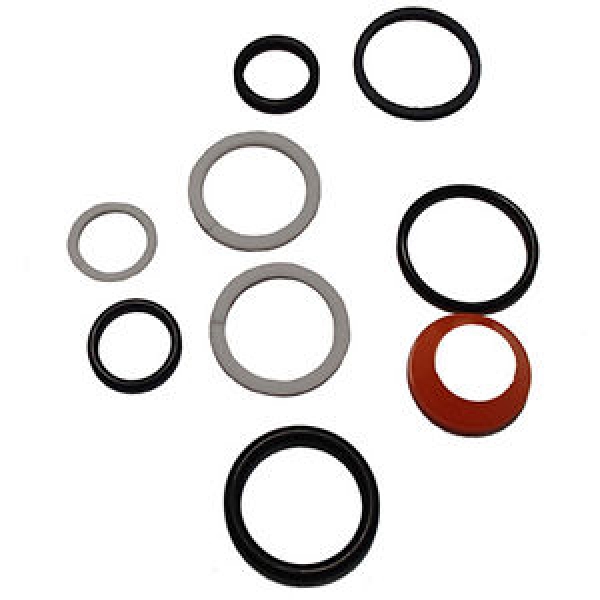 Seal Kit, Steering cylinder, David Brown