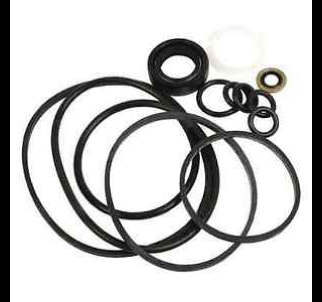 Power Steering Pump Seal Kit, David Brown