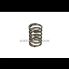 Valve Spring. Fendt. MWM