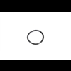O-Ring Handrem Fendt