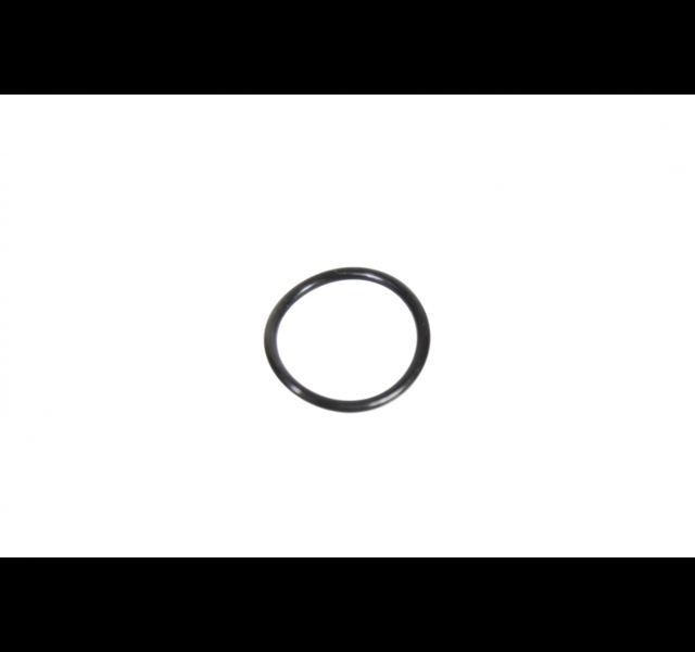 O-Ring Handrem Fendt