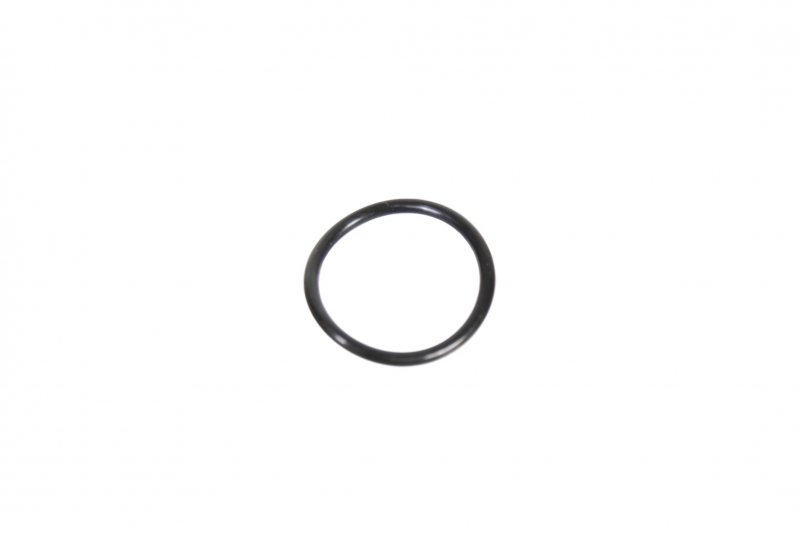 O-Ring Handrem Fendt