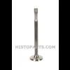 In- or Exhaust Valve. Guldner 2DN, 2DNS
