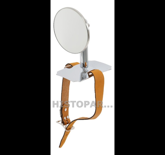 Mirror for Side Mount Tire