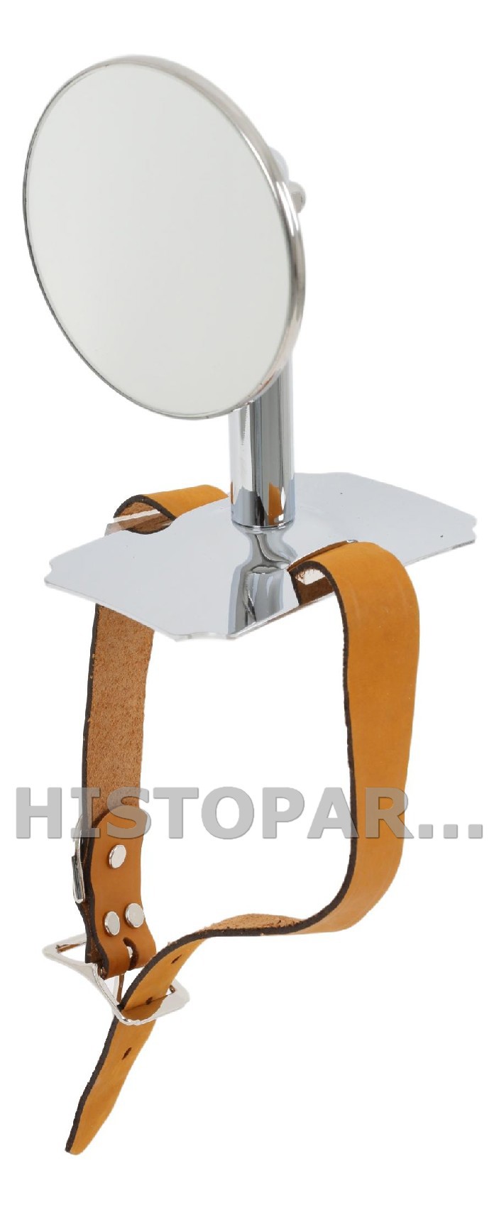 Mirror for Side Mount Tire