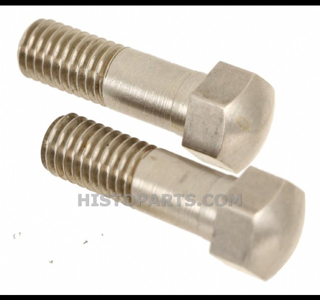 Domed Water Inlet Bolts. T-Ford