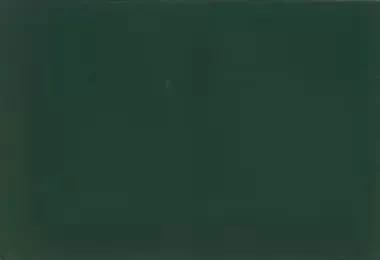 RAL 6012 Black Green. 1 Liter