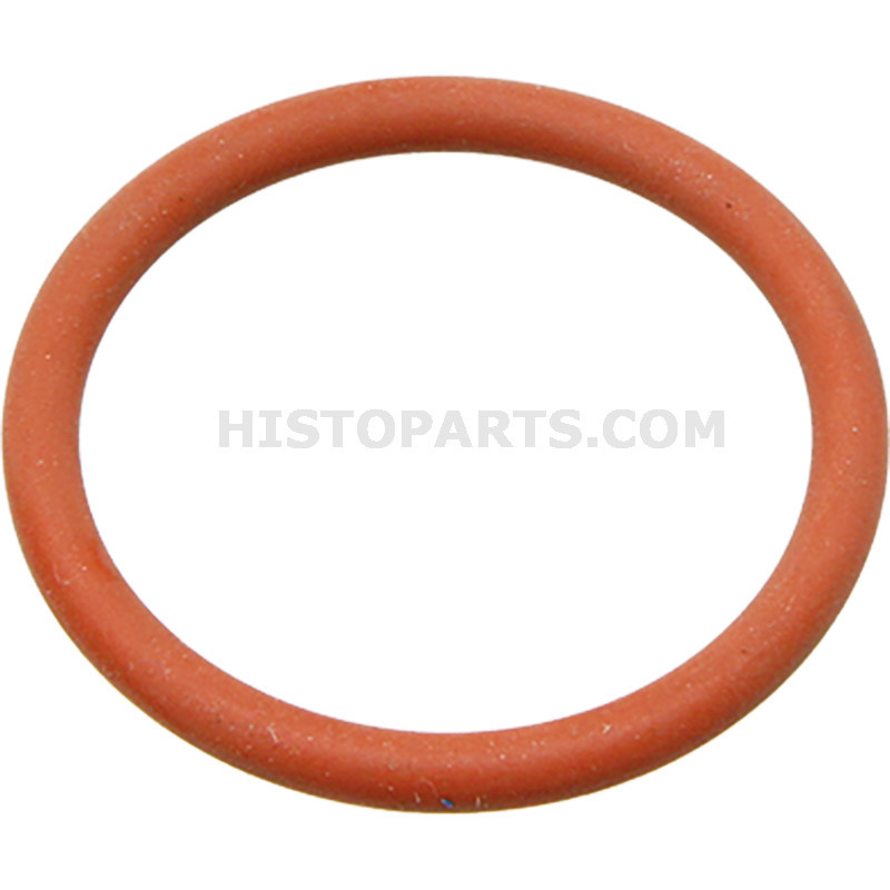 O-Ring push rod tube Eicher