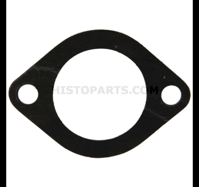 Thermostat gasket Eicher