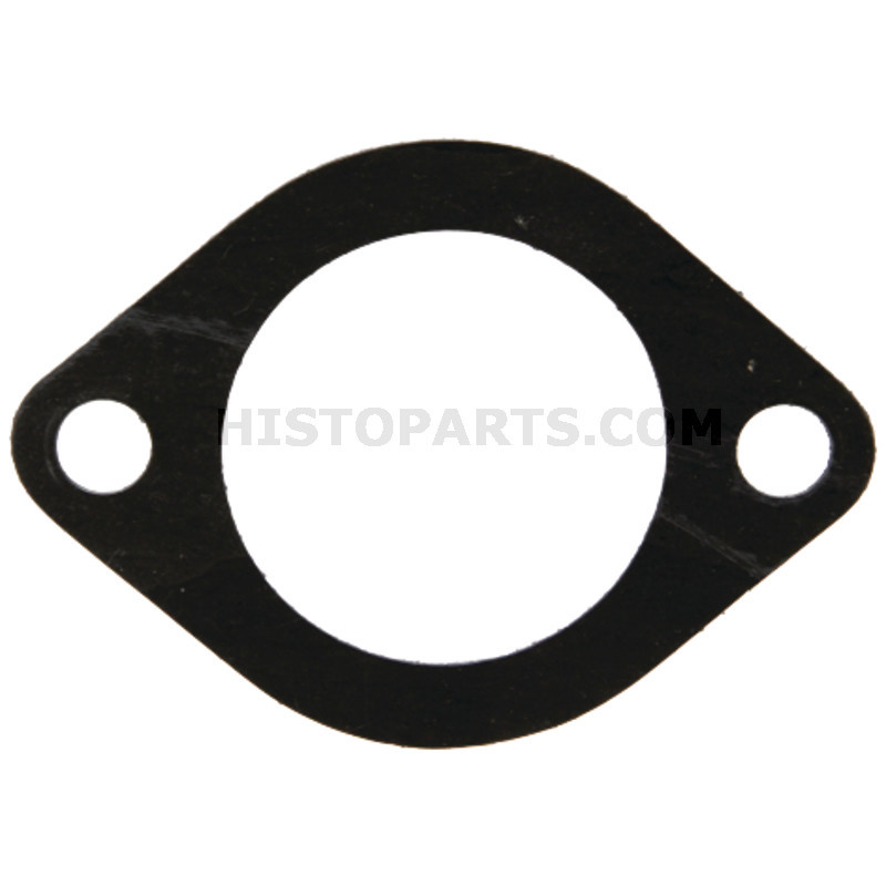 Thermostat gasket Eicher