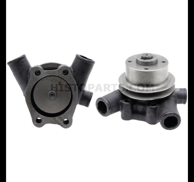 Waterpomp Renault (1)