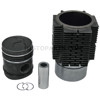 Piston Ring and Liner kit Guldner