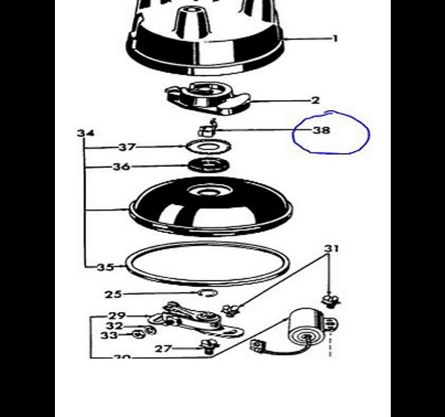 Rotor clip Histoparts