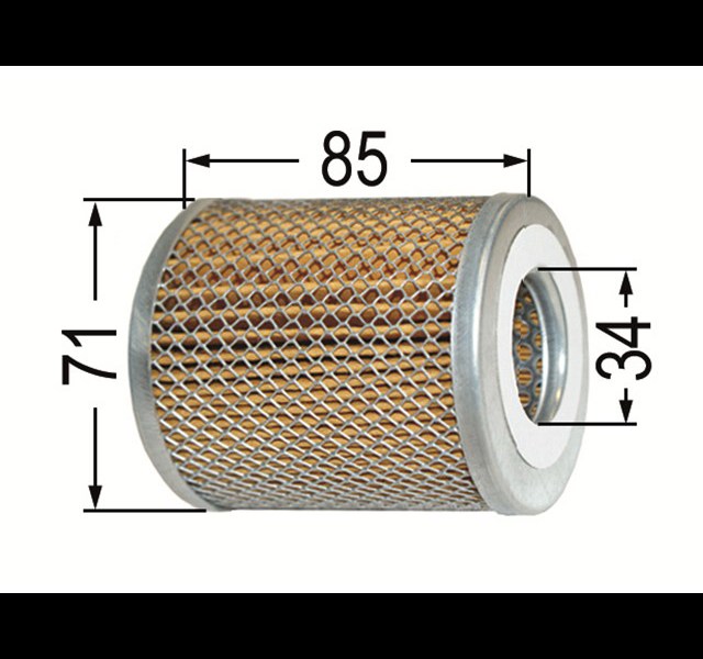 Fuel filter Histoparts