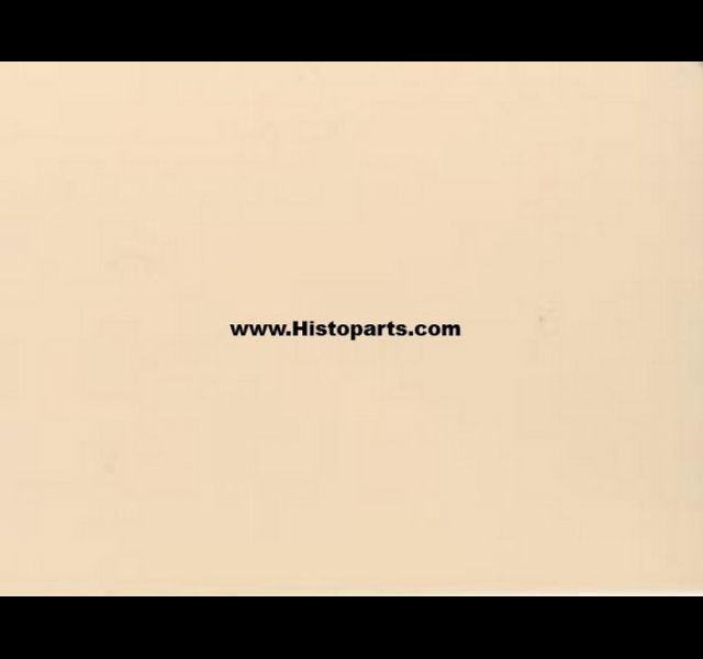 Fiat beige