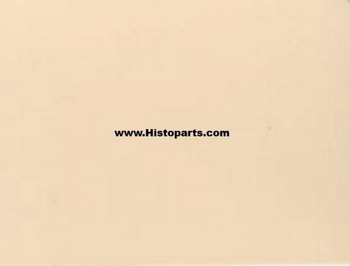 Fiat beige