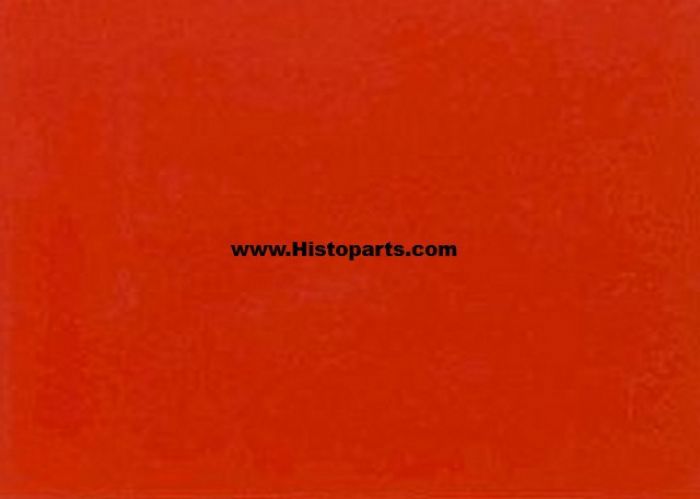 Fordson wheel orange