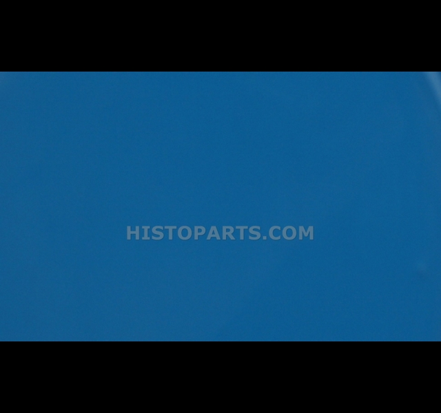 Ford blue