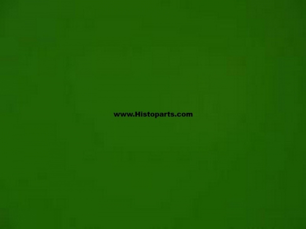 Fendt old green