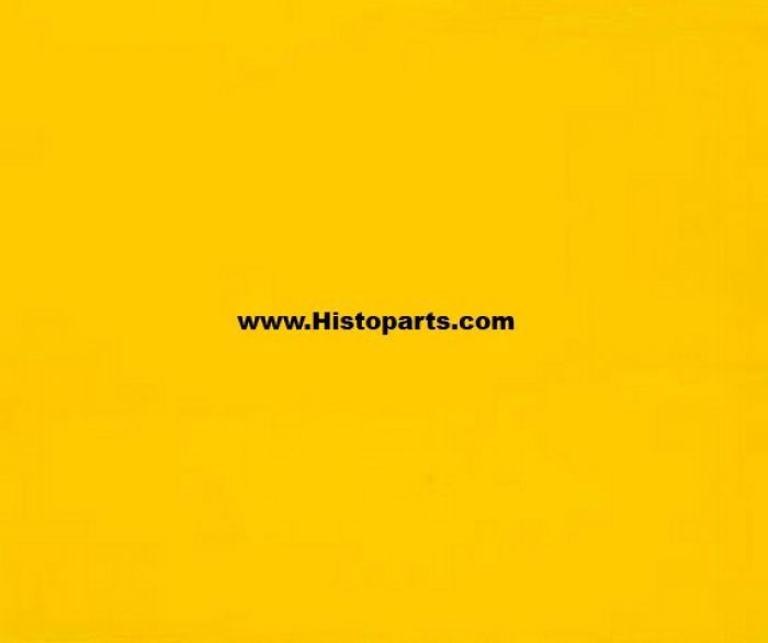John Deere yellow