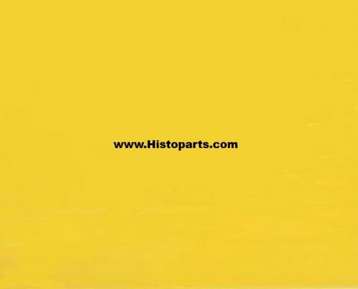 Lely Yellow, 1 ltr