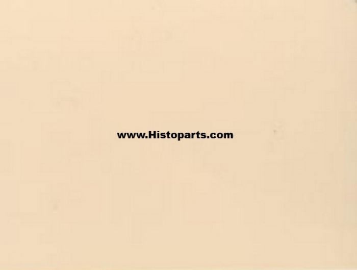 Renault beige