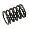 valve spring Ferguson TEA TED