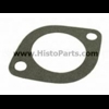 Gasket thermostat housing